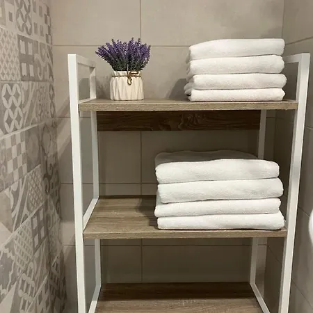 Petlov Salas Нови-Сад