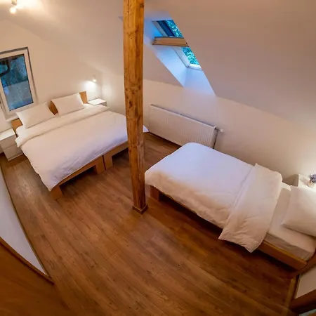 Petlov Salas 3* Нови-Сад